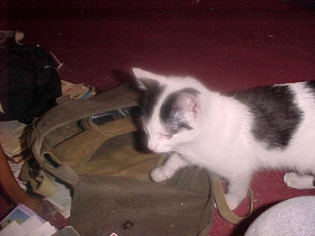 Young Berni exploring my camera bag